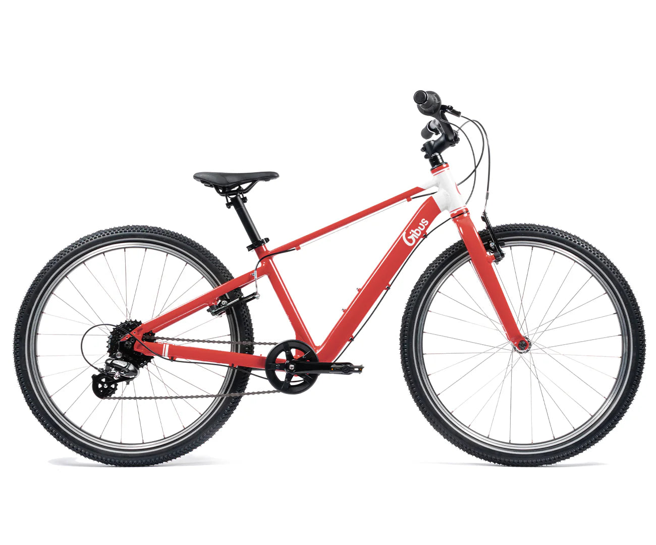 Vélo 20 pouces - Dès 6 ans